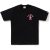 Black X Pink