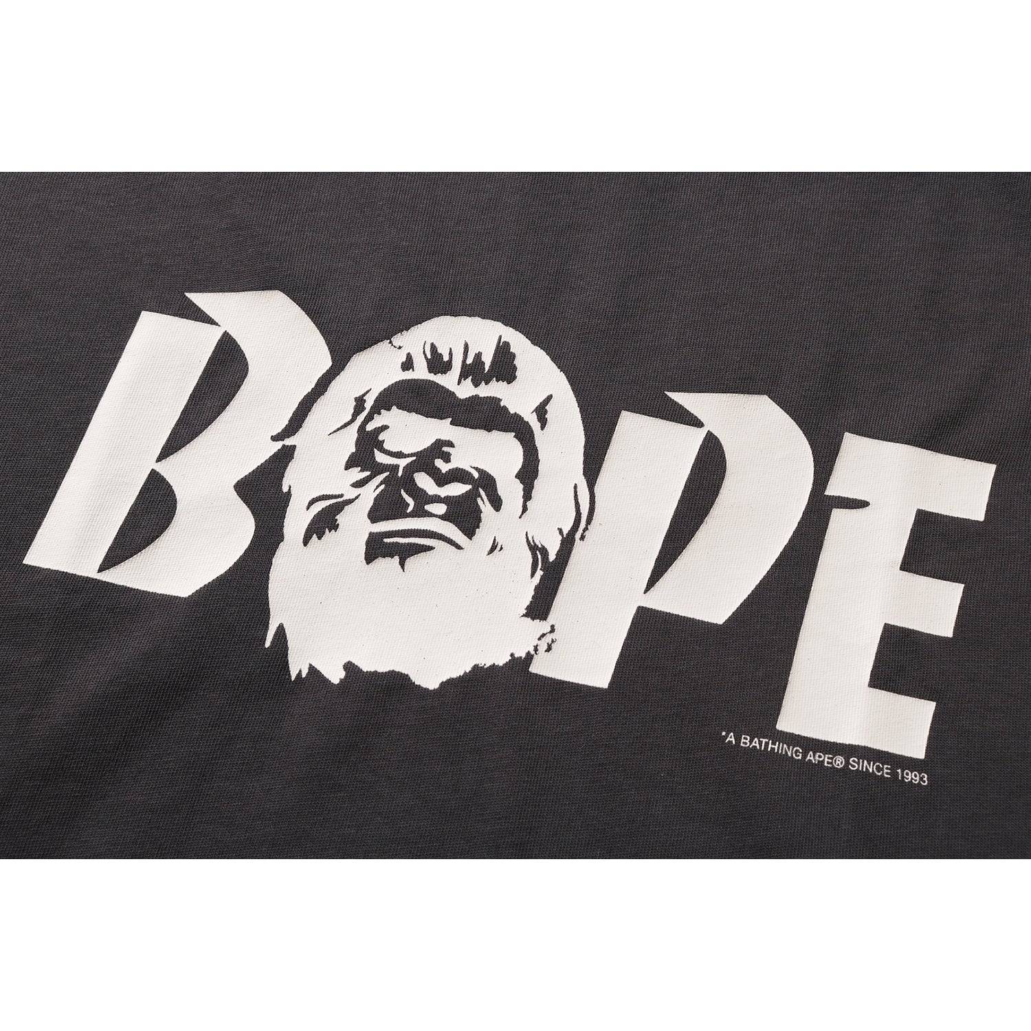 001TEM301317_CHA_C.jpg